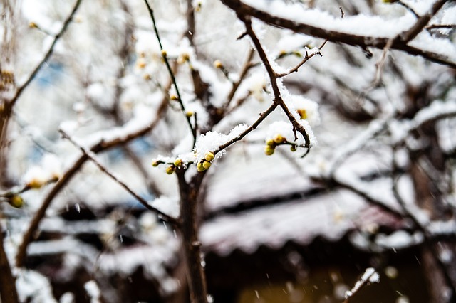 境能夠幫助