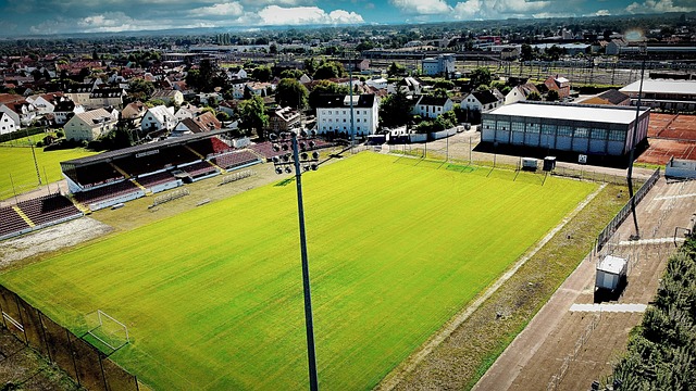 球队的备战 球队的备战