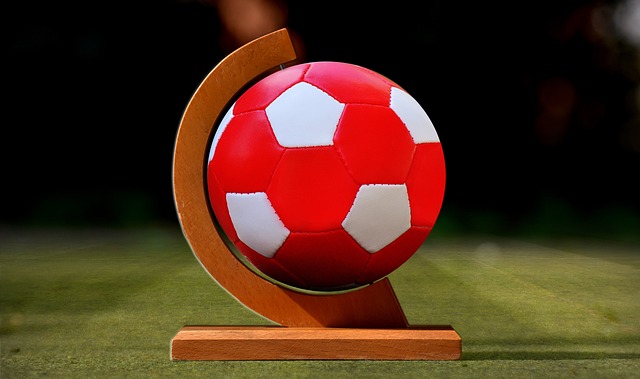 战术上的提 战术上的提