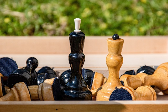 冰壶女队 冰壶女队