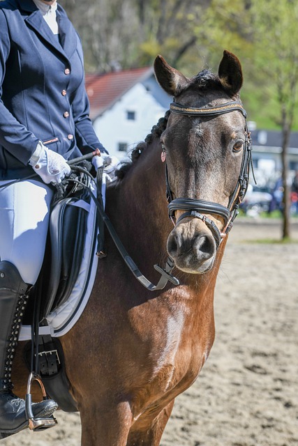 花的未来增 花的未来增