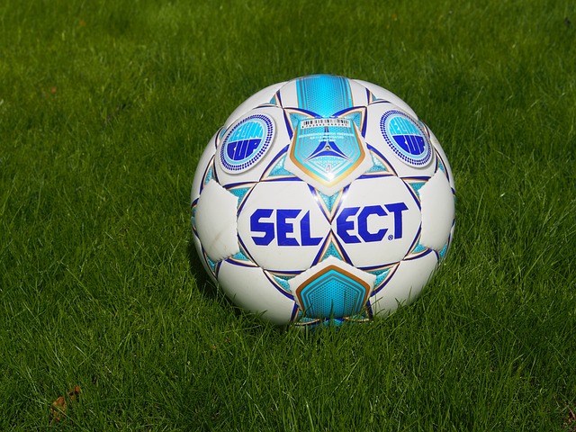 戈麥斯自 戈麥斯自