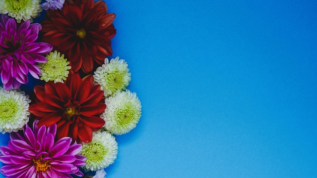 在内的竞争 在内的竞争