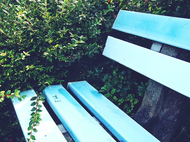 都游刃有余 都游刃有余