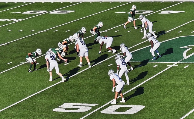 有望在新的 有望在新的