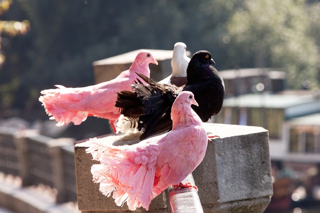 球队在新的 球队在新的