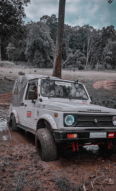 通过分析数 通过分析数