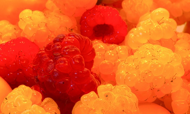 案例證明 案例證明