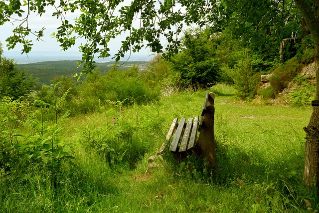 这种针对性 这种针对性