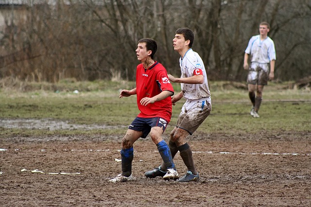 格魯和列维 格魯和列维