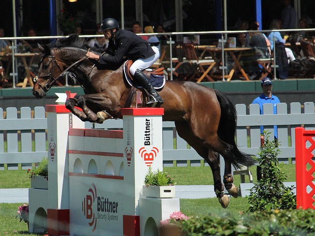 勇士强势反 勇士强势反